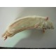 3 rats small en blister